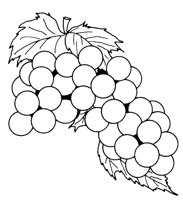 GRAPE.LBM