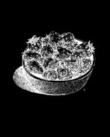 BOWLBERR.LBM