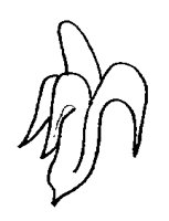 BANANA5.LBM