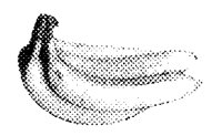 BANANA2.LBM