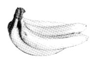 BANANA1.LBM