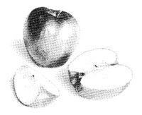 APPLE1.LBM
