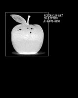 APPLE.LBM