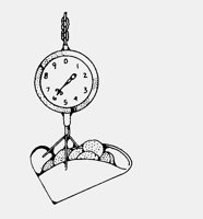 SCALES.LBM