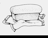 BREAD2.LBM