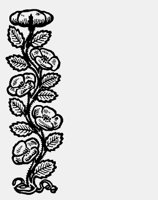 FLOWER34.LBM