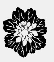 FLOWER33.LBM