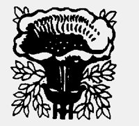 FLOWER32.LBM