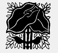 FLOWER31.LBM
