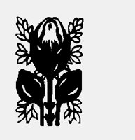 FLOWER30.LBM