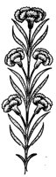 FLOWER27.LBM