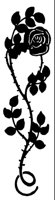FLOWER25.LBM