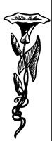 FLOWER24.LBM