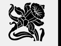 FLOWER22.LBM