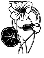 FLOWER21.LBM