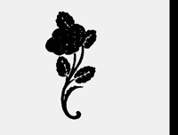 FLOWER19.LBM