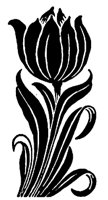 FLOWER13.LBM