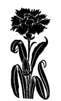 FLOWER05.LBM