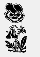 FLOWER02.LBM