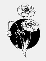 POPPY.LBM