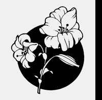 IRIS.LBM