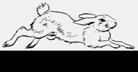 JACKRABBIT.LBM