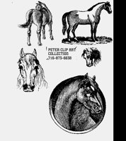 HORSES.LBM