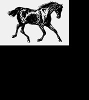 HORSE01.LBM
