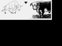 BULL2.LBM