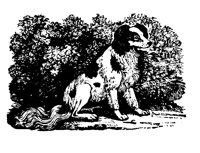 SPANIEL2.LBM