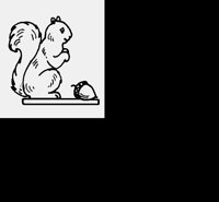 SQUIRREL.LBM