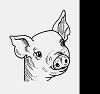 PIGLET.LBM