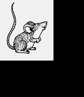 MOUSIE.LBM