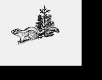 CHIPMONK3.LBM