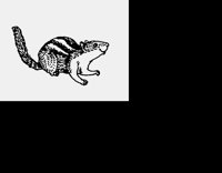 CHIPMONK.LBM