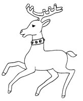 REINDEER.LBM