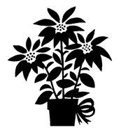 POINSETA.LBM