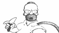 HOMER1.LBM