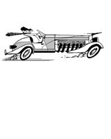 CAR1.LBM