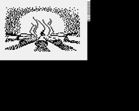 CAMPFIRE.LBM