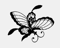 BFLY01.LBM