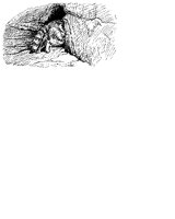 BP34.LBM
