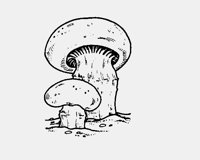 MUSHROOM.LBM