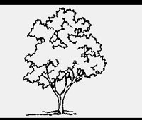 ALMONDTR.LBM