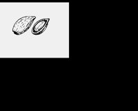ALMONDNU.LBM