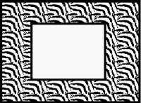 STRIPE_S.LBM