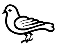 DOVE.LBM