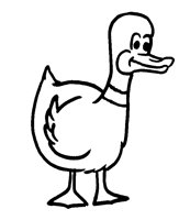 CTNDUCK.LBM