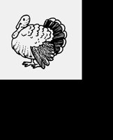 TURKEY.LBM