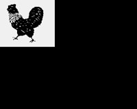 ROOSTER2.LBM